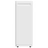 Осушитель воздуха Ballu Heavy Duty Plus BD60CI