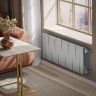 Радиатор Royal Thermo PianoForte 300 /Silver Satin - 12 секц.