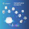 Датчик температуры и влажности HOMMYN THS30ZB